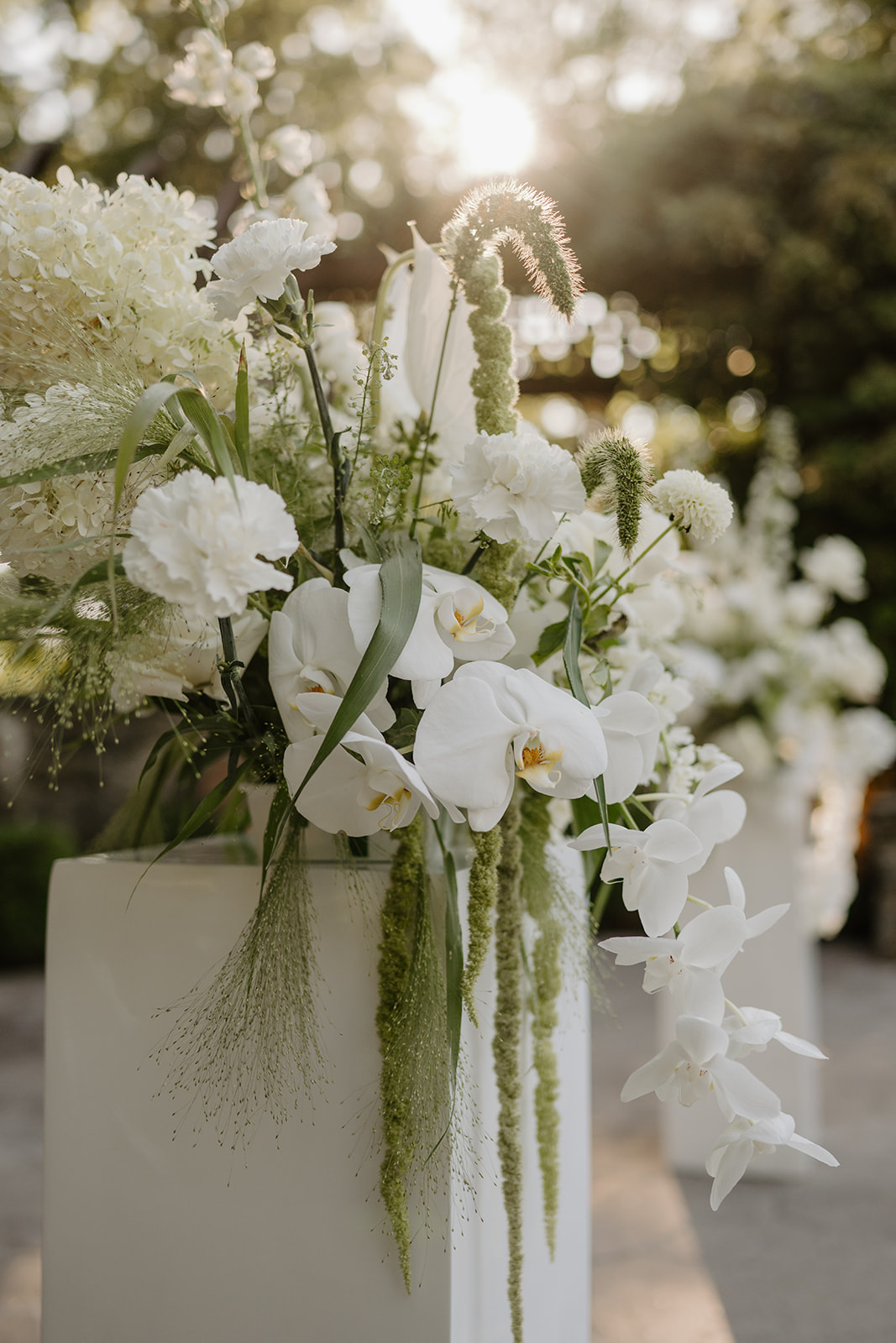 Close-up of a white orchid and carnation ceremony floral arrangement backlit by the warm sunset.